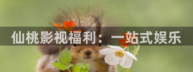 人人抽人人插人人射免费在线视频：仙桃影视福利：一站式娱乐