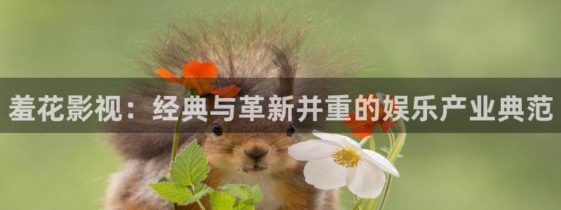 人人在色视频：羞花影视：经典与革新并重的娱乐产业典范