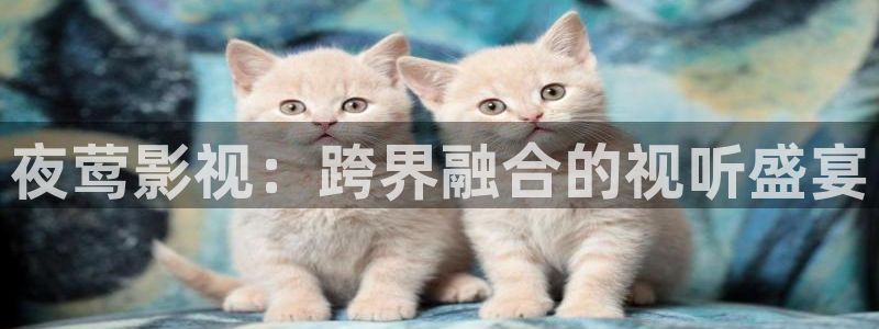 人人射视频在线：夜莺影视：跨界融合的视听盛宴